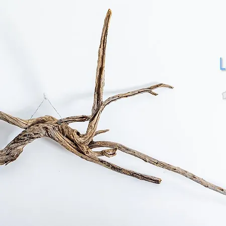 Maison Chaleureuse Zen Daire