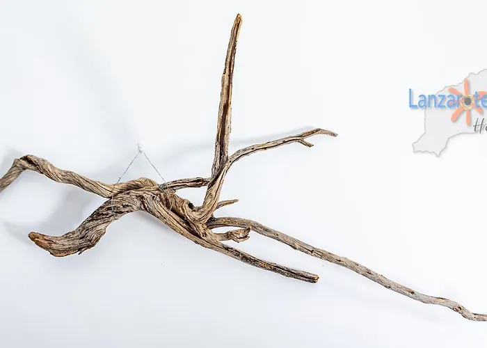 Maison Chaleureuse Zen דירה